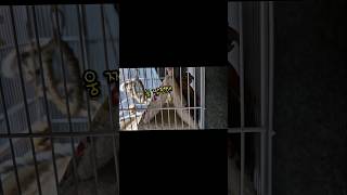 쇼파는 앉는게 아니라 기대는거라며? 포치도 그래. -코뉴어-