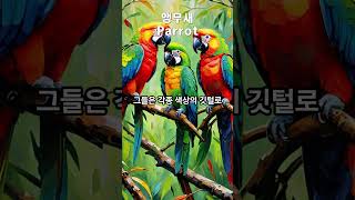 앵무새 #앵무새 #parrot #psittaciformes #홍금강앵무새