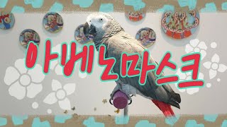 아베를 만나서 한마디 해주고 왔답니다~ 