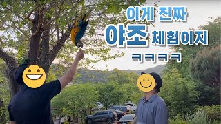 [청금강]이게 진짜 방목새지 (feat. 생생정보통)