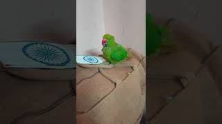 Kitni flexible gardan hai re i…