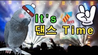 [수다쟁이 회색앵무 코코] EP15. 오페라X댄스 만능…