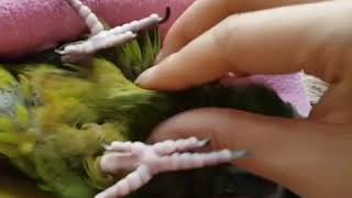 육아일기 쓰세요?(육아일기의 필요성)