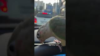 Chill 한 앵이 일상 구경하세오 #앵무새 #parrot #코뉴어 #문칙코뉴어#말하는앵무새 #반려조 #반려동물 #힐링 #코뉴어교육 #앵무새교육#chill