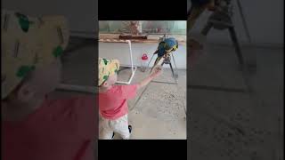 아주 큰 청금강앵무새에게 먹이주기 / feeding a…