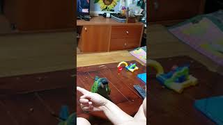 옐로우카라마카우 재롱이 물건 거져와 훌련