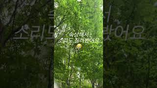 홍금강 앵무새 금당이 구출작전