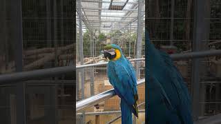 도도한 청금강 #경주버드파크