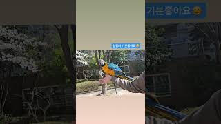 청금강 청일이 공원산책