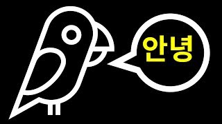 무엇이 앵무새를 사람처럼 말하게 하나요