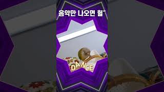 춤신춤왕 앵무새 등장ㅋㅋㅣ말 잘하는 앵무새 이겨울 ㅣ …