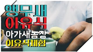 아가새농장에서 이유식 체험을 하다