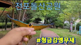 전포돌산공원 청금강앵무새 자유비행
