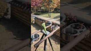 @코카투 @코뉴어 #회색앵무 #한스마카우 #코뉴어 #코카투 #앵무새  #퀘이커