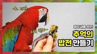 앵무새를 위한 음식만들기 '추억의 밥전' 과연 아이들은…