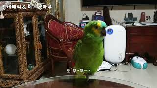 아마존 히트가 옹알이 목소리로 땡기고 노래와 뽀뽀뽀 를…