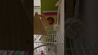 해님이의 아지트