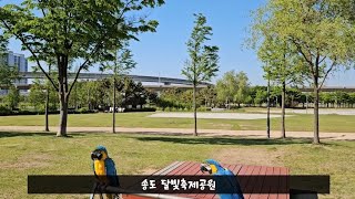 송도 '달빛축제공원' 에서 청금강을 날려보자!!