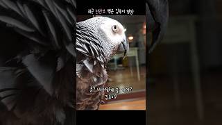 [다시 보고싶은 영상] 실수를 깨달았을땐 이미 김유정은 토꼈다ㅋㅋㅋㅋ #천만뷰영상