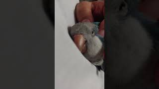 퀘이커 쓰담쓰담...