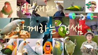 서울예술실용전문학교 1A 수업