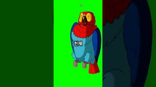 앵무새가 말을 따라하는 진짜 이유! #앵무새 #shor…