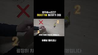 앵무새vs인간? 해바라기씨 빨리까기 대회 #앵무새 #동…