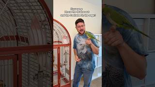 Why I Don't Take Quaker and Cockatoo Out Together