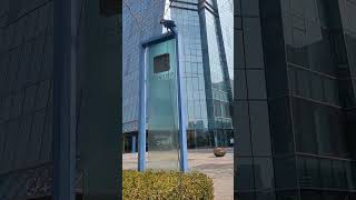 개 빙의한 루카 #parrot #앵무새 #animal #macaw #동물 #마카우 #청금강 #청금강앵무새 #반려동물 #애완동물