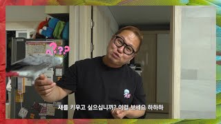 앵무새를 키우고 싶으신가요? [OBS 이것이 인생이다 …
