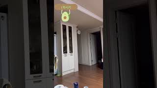 어떻게 올라간겨? #앵무새 #퀘이커 #parrot #높…