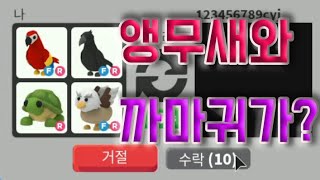 [로블록스 입양하세요] 앵무새와 까마귀가 동시에 거래에 등장 왜?! [ADOPT ME][ROBLOX]