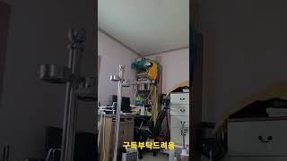 인사하는 청금강앵무새 루카 #shorts