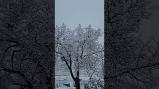 썬코뉴어 동계훈련