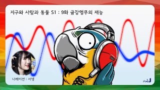 9 금강앵무의 재능 (나레이션 : 서넹)
