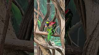 앵무새가 짱좋아 짱귀여워 | #일상#브이로그#데이트#서…