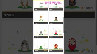 드뎌 홍금강앵무새~ (이펫들 하루만에 다 모은거입니다.…