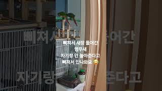 앵무새가 삐지면?!!  #앵무새 #parrot #bir…