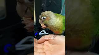 목욕하고 간식 먹으면서 유튭 보는 #아기만두 #ウロコイ…