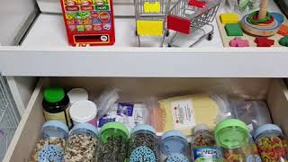 퀘이커 앵무새 랜선집들이(어서와! 앵무새 집은 처음이지…