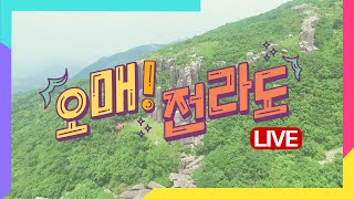 영산강 홍수통제소 /광주의 비 피해 소식은? / 영광 홍망고 / 우뭇가사리 만찬 / 문경새재여행 [LIVE] 오매 전라도 2020년 7월 29일