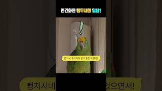 아빠 착각하지마!