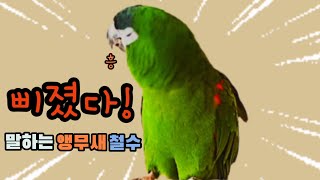 안 놀아 준다고 했더니... 진짜로 삐져 버리다니...…