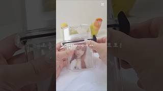 6년째 집사의 앵무새랑 하는 포카포장 #아이브 #포카챠 #포카포장 #앵무새 #다이소깡 #다이브 #눌러주세용 #music  #브이로그 #추천떠라제발 #좋아요댓글