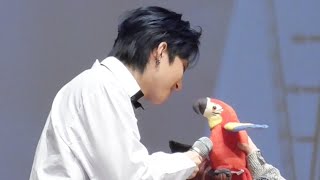 200221 펜타곤 팬사인회 - 후이 vs. 앵무새 (…