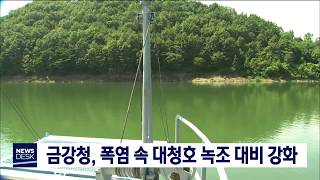 [대전MBC뉴스]금강청, 폭염 속 대청호 녹조 대비 강화