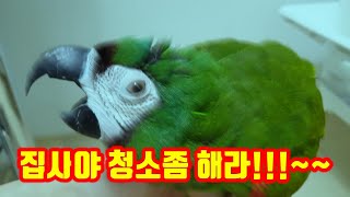 오늘은 방청소 하는날!~
