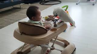 동생들이 귀찮은 앵무새 나나공주님♡