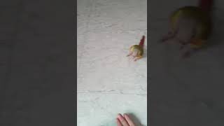 파인애플코뉴어 안녕이