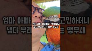 나한테 왜그래~ 엄마 아빠가 정신없게해서 짜증나버린 앵…